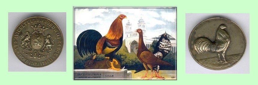 m�daille des Aviculteurs du Nord - tableau de Henri LIEBAERT